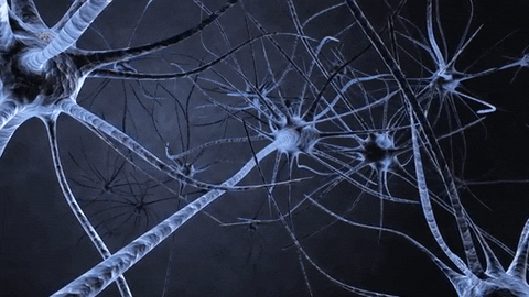 Kuis Sistem Saraf: Seberapa banyak yang kamu tahu tentang otak dan sarafmu?