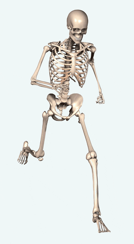Kuis Sistem Muskuloskeletal: Seberapa banyak yang kamu tahu tentang tulang dan ototmu?